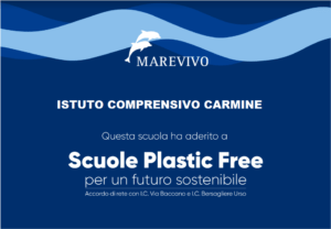 targa-ISTITUTO-CARMINE-300x208